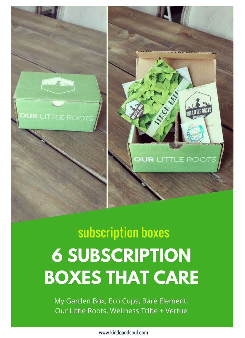 Check out these awesome eco-friendly subscription boxes!
