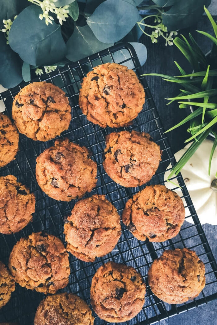 Get ready to swoon over these pumpkin chocolate chip cookies